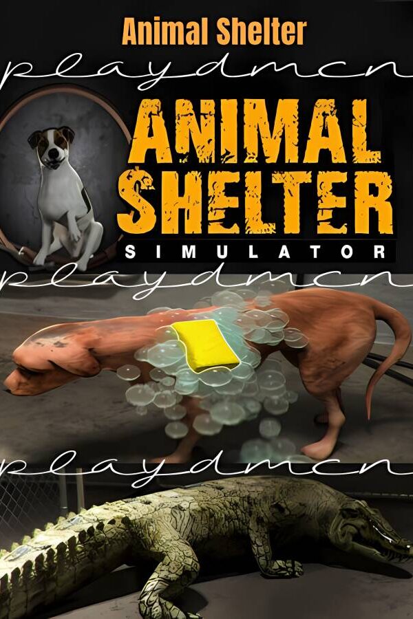 动物收容所/Animal Shelter