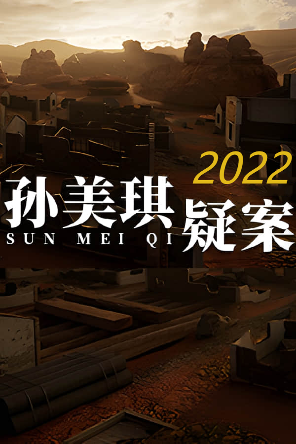 孙美琪疑案：2022