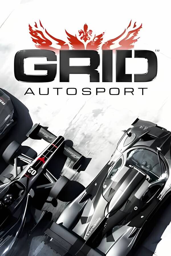 超级房车赛:赛车运动/GRID:Autosport