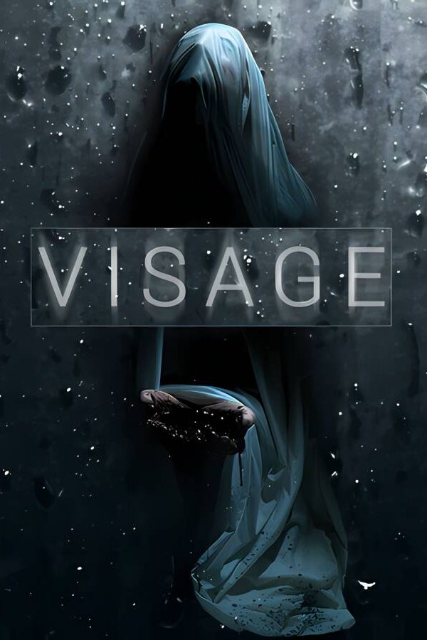 面容/Visage