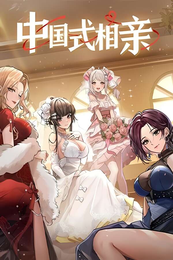 中国式相亲/Matchmaking Inc.