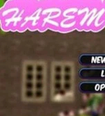Harem Hotel V0.19 Beta3–后宫酒店