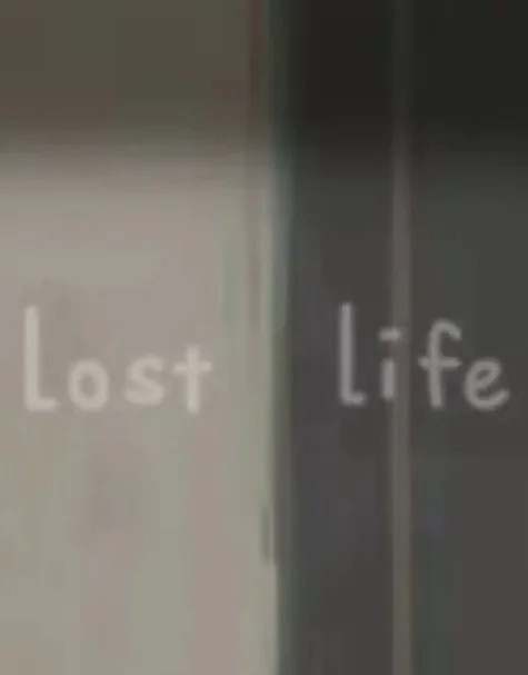 迷失的生命/Lost Life